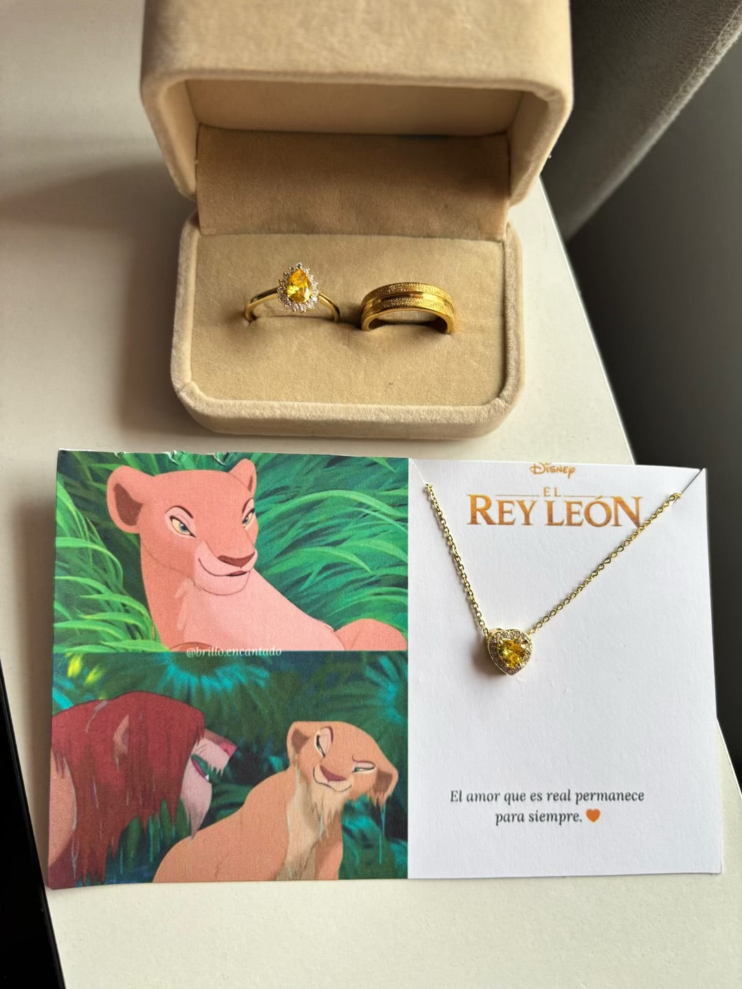 Set completo inspirado en Rey León